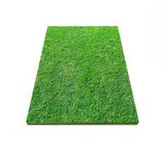 Tapis Gazon Carpet 50* 80 cm